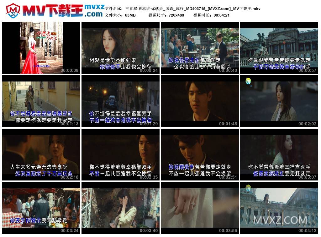 王喜翠-你想走你就走_国语_流行_MD403715